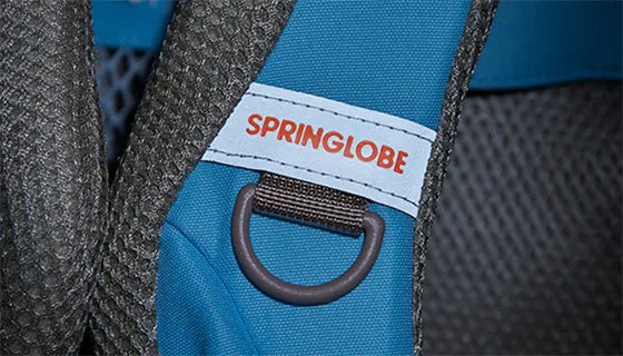 Basic Springlobe